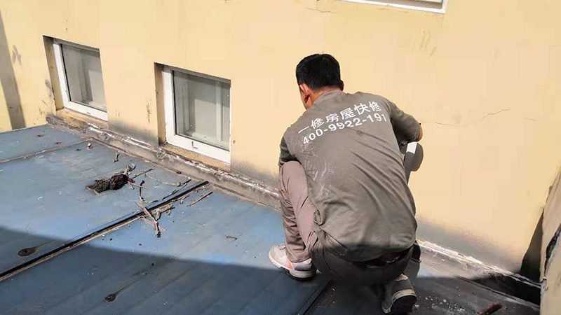 JS防水涂料与K11防水涂料：揭秘两者的本质区别